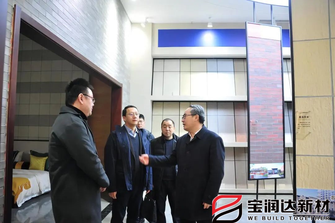 懷寧縣委領(lǐng)導(dǎo)蒞臨寶潤達參觀交流